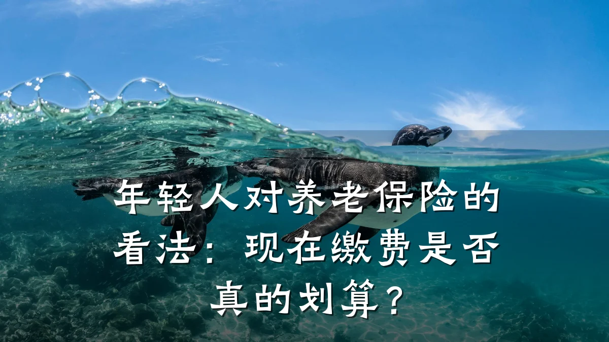 年轻人对养老保险的看法:现在缴费是否真的划算?