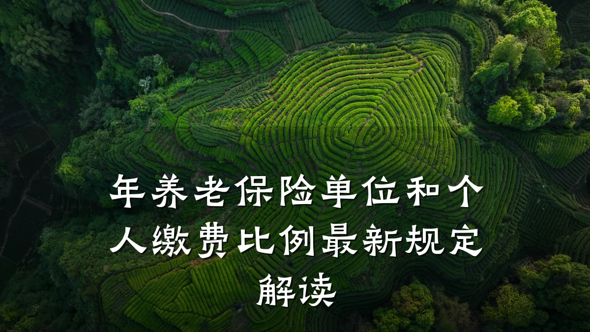 年养老保险单位和个人缴费比例最新规定解读