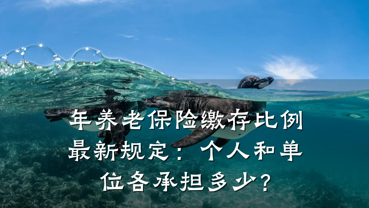 年养老保险缴存比例最新规定:个人和单位各承担多少?