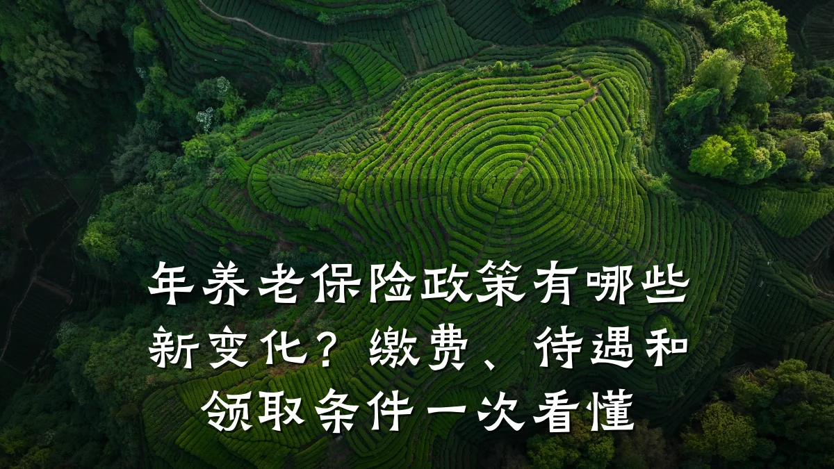 年养老保险政策有哪些新变化？缴费、待遇和领取条件一次看懂