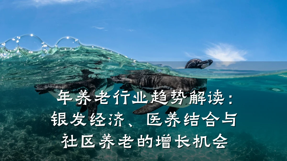 年养老行业趋势解读:银发经济、医养结合与社区养老的增长机会