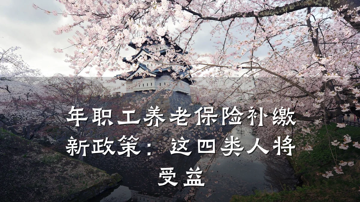 年职工养老保险补缴新政策：这四类人将受益