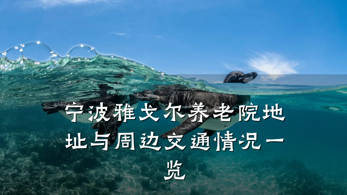 宁波雅戈尔养老院地址与周边交通情况一览
