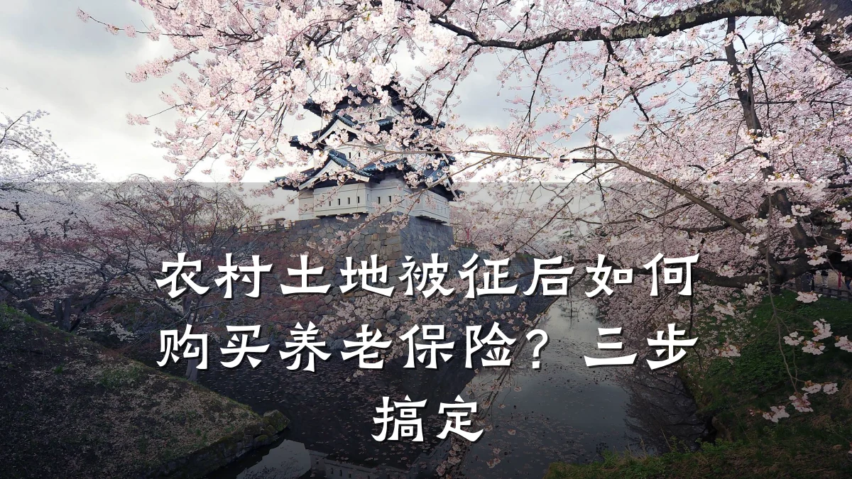 农村土地被征后如何购买养老保险?三步搞定
