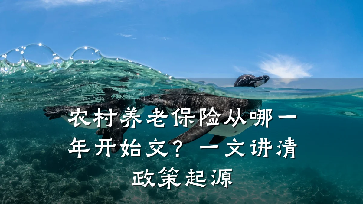农村养老保险从哪一年开始交?一文讲清政策起源