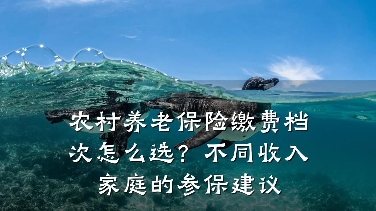 农村养老保险缴费档次怎么选?不同收入家庭的参保建议
