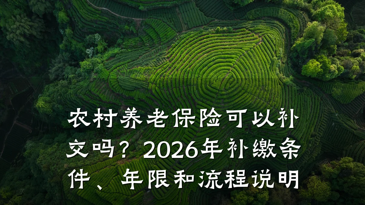 农村养老保险可以补交吗?2026年补缴条件、年限和流程说明