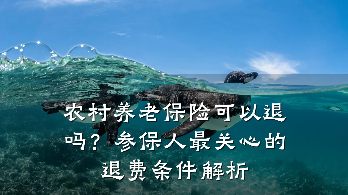 农村养老保险可以退吗?参保人最关心的退费条件解析