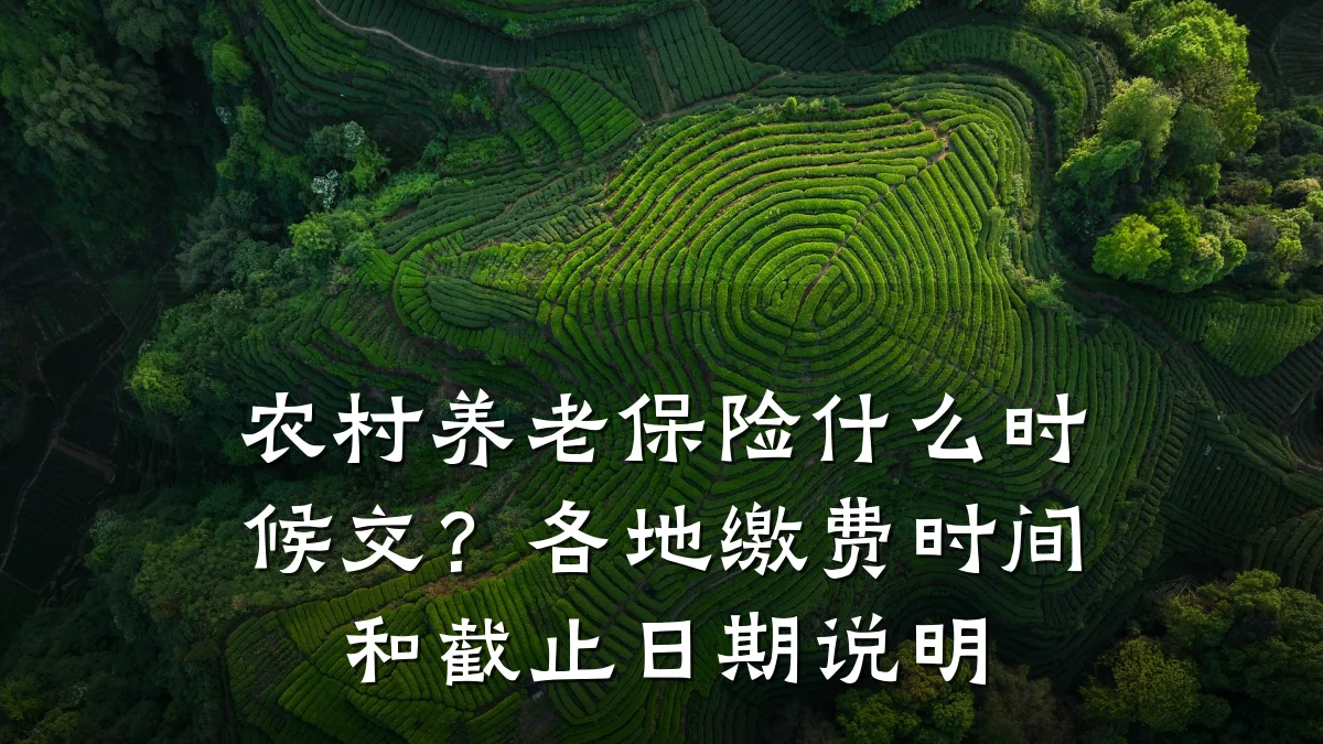 农村养老保险什么时候交?各地缴费时间和截止日期说明