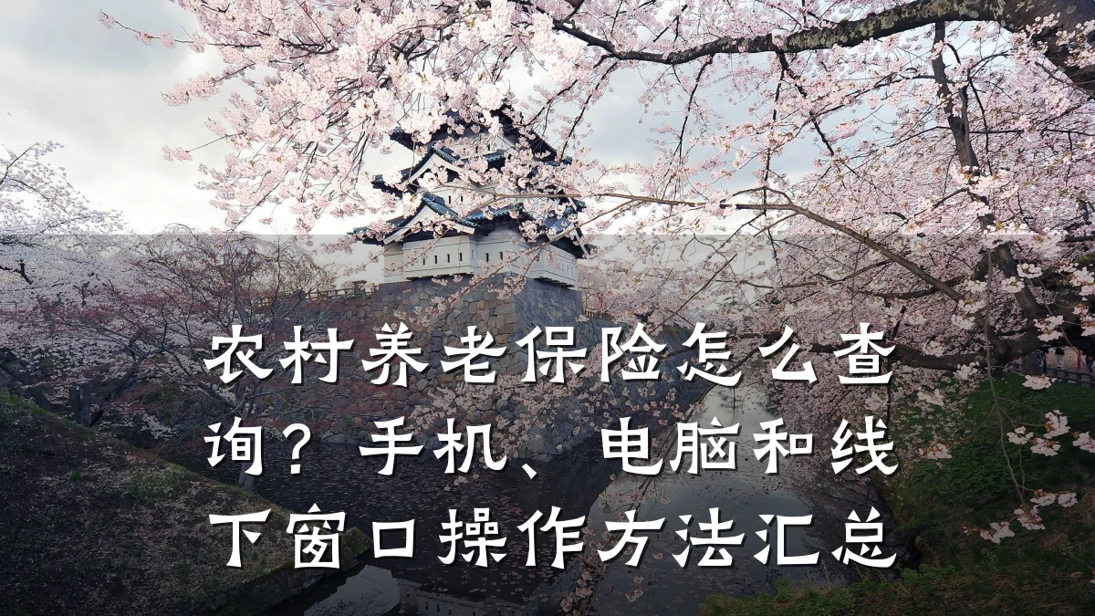 农村养老保险怎么查询?手机、电脑和线下窗口操作方法汇总
