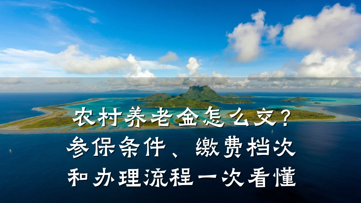农村养老金怎么交?参保条件、缴费档次和办理流程一次看懂