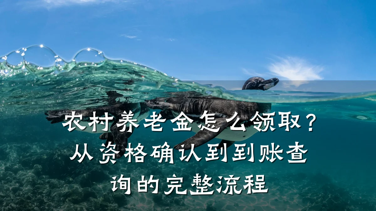 农村养老金怎么领取?从资格确认到到账查询的完整流程