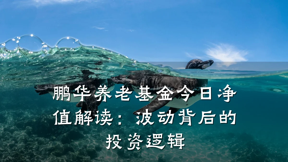 鹏华养老基金今日净值解读：波动背后的投资逻辑