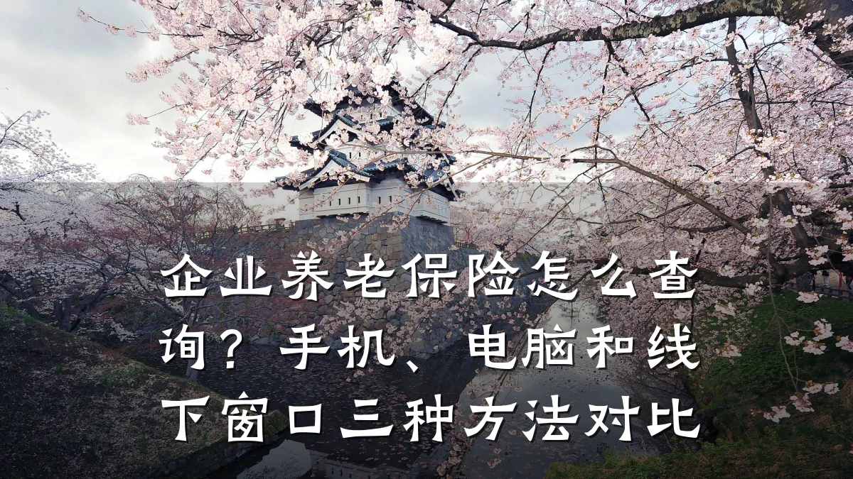 企业养老保险怎么查询?手机、电脑和线下窗口三种方法对比