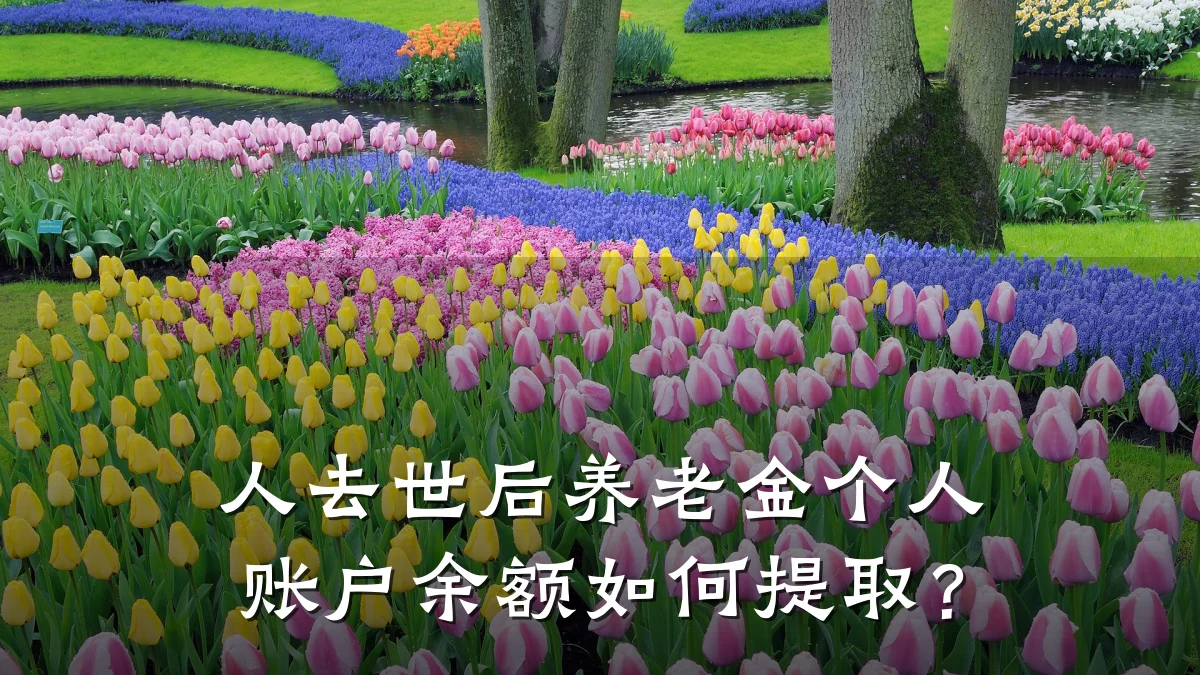 人去世后养老金个人账户余额如何提取?