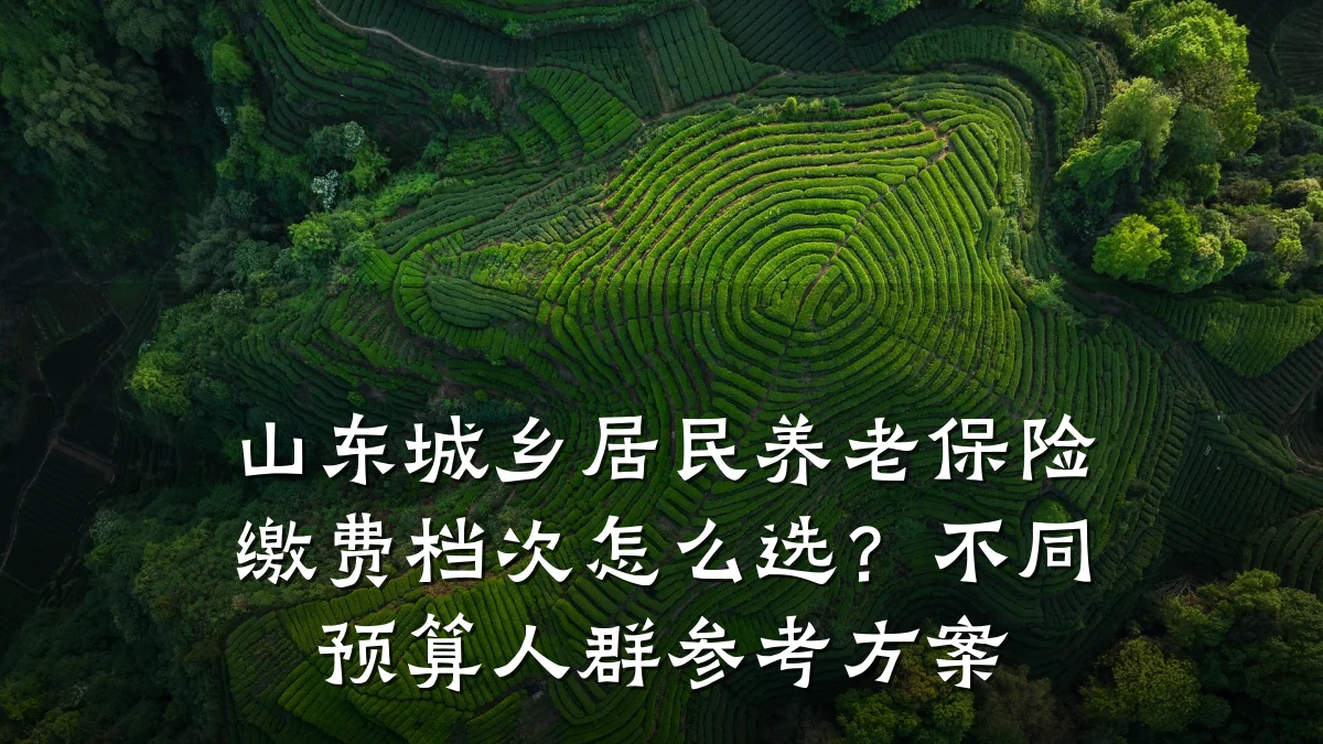 山东城乡居民养老保险缴费档次怎么选?不同预算人群参考方案