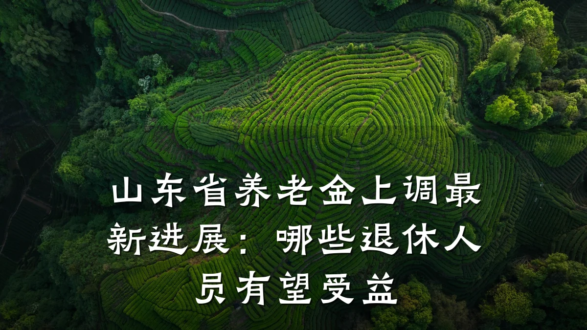 山东省养老金上调最新进展:哪些退休人员有望受益