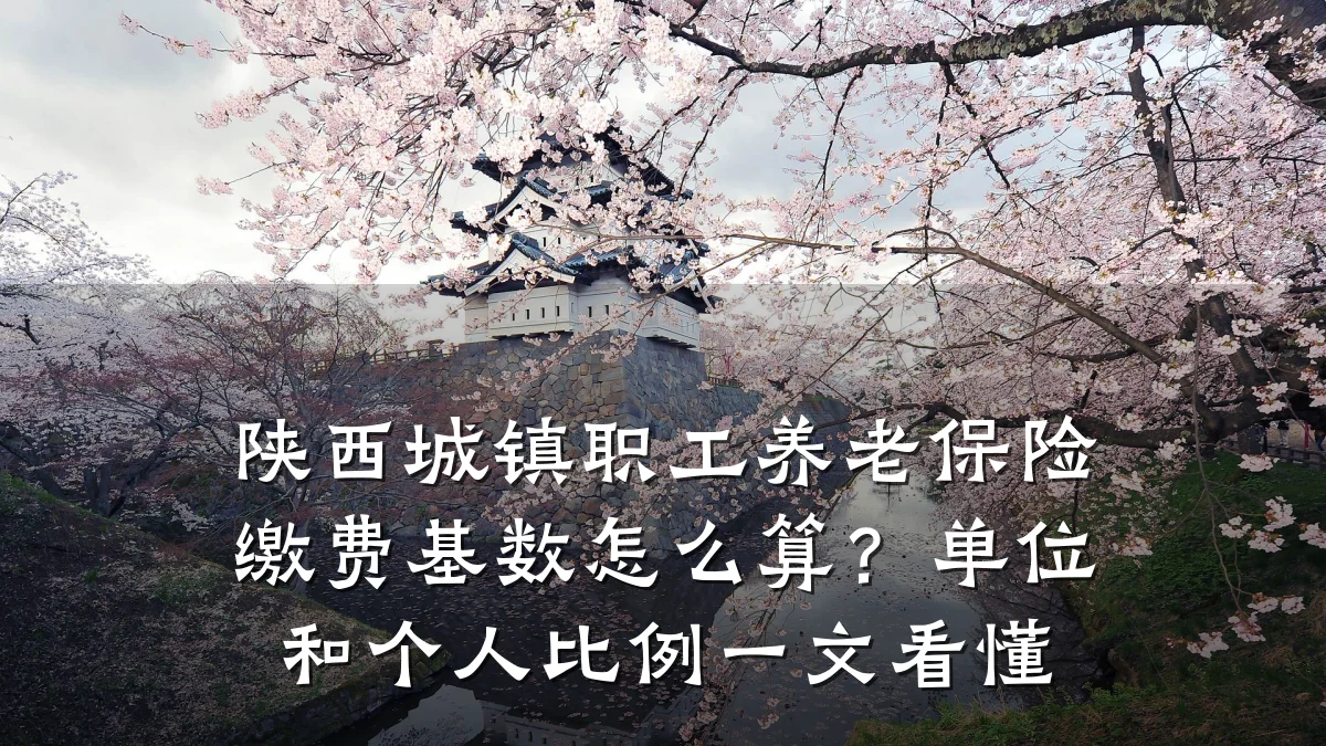 陕西城镇职工养老保险缴费基数怎么算?单位和个人比例一文看懂