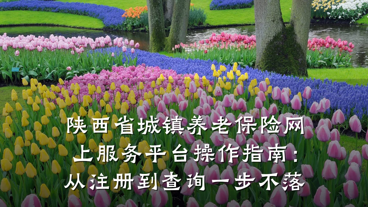 陕西省城镇养老保险网上服务平台操作指南:从注册到查询一步不落