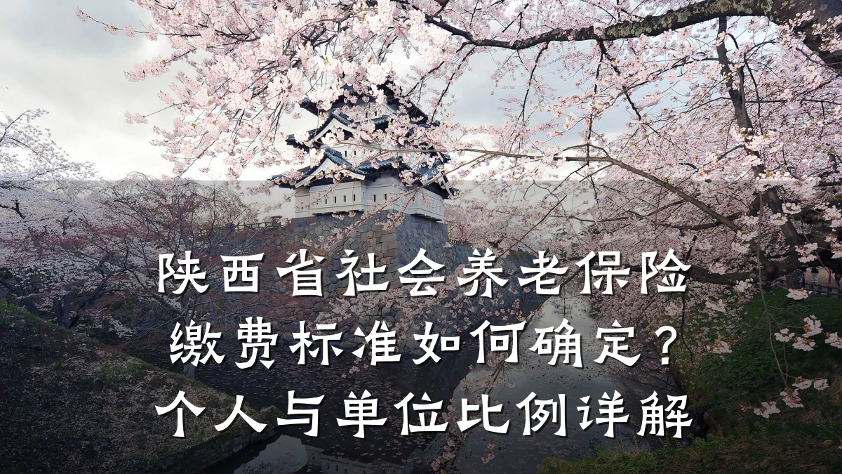 陕西省社会养老保险缴费标准如何确定？个人与单位比例详解