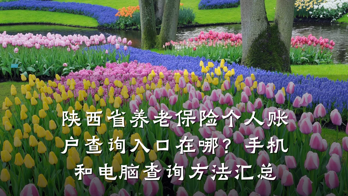 陕西省养老保险个人账户查询入口在哪？手机和电脑查询方法汇总