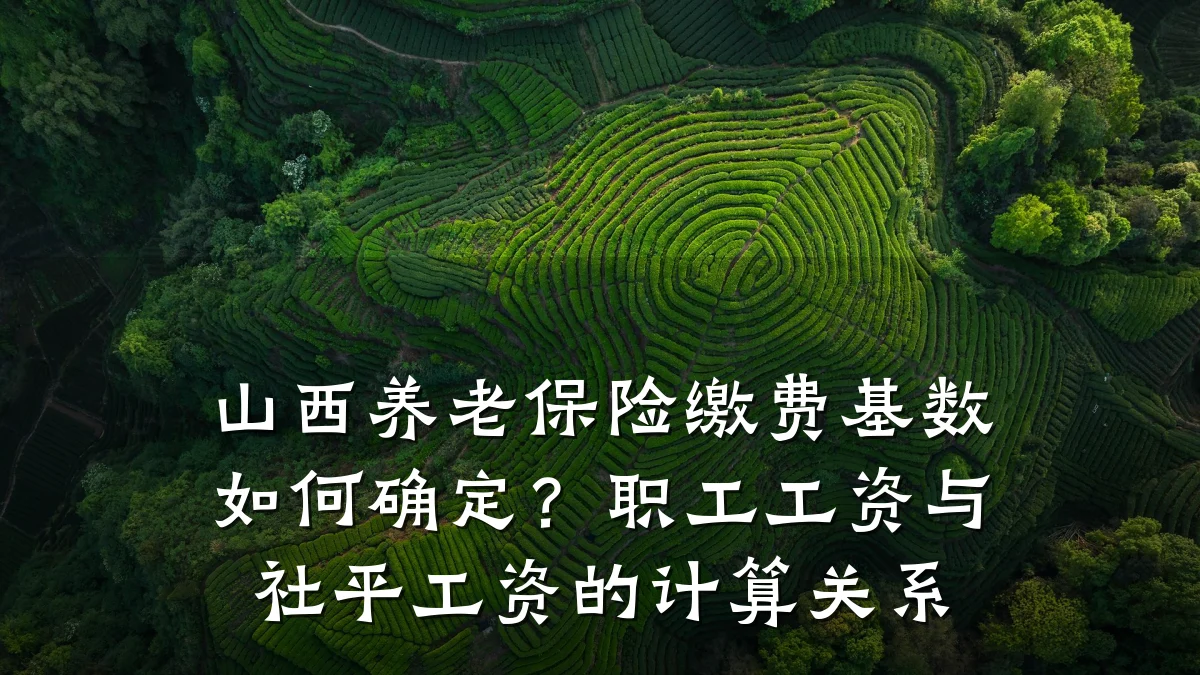 山西养老保险缴费基数如何确定?职工工资与社平工资的计算关系