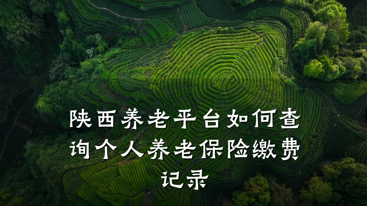 陕西养老平台如何查询个人养老保险缴费记录