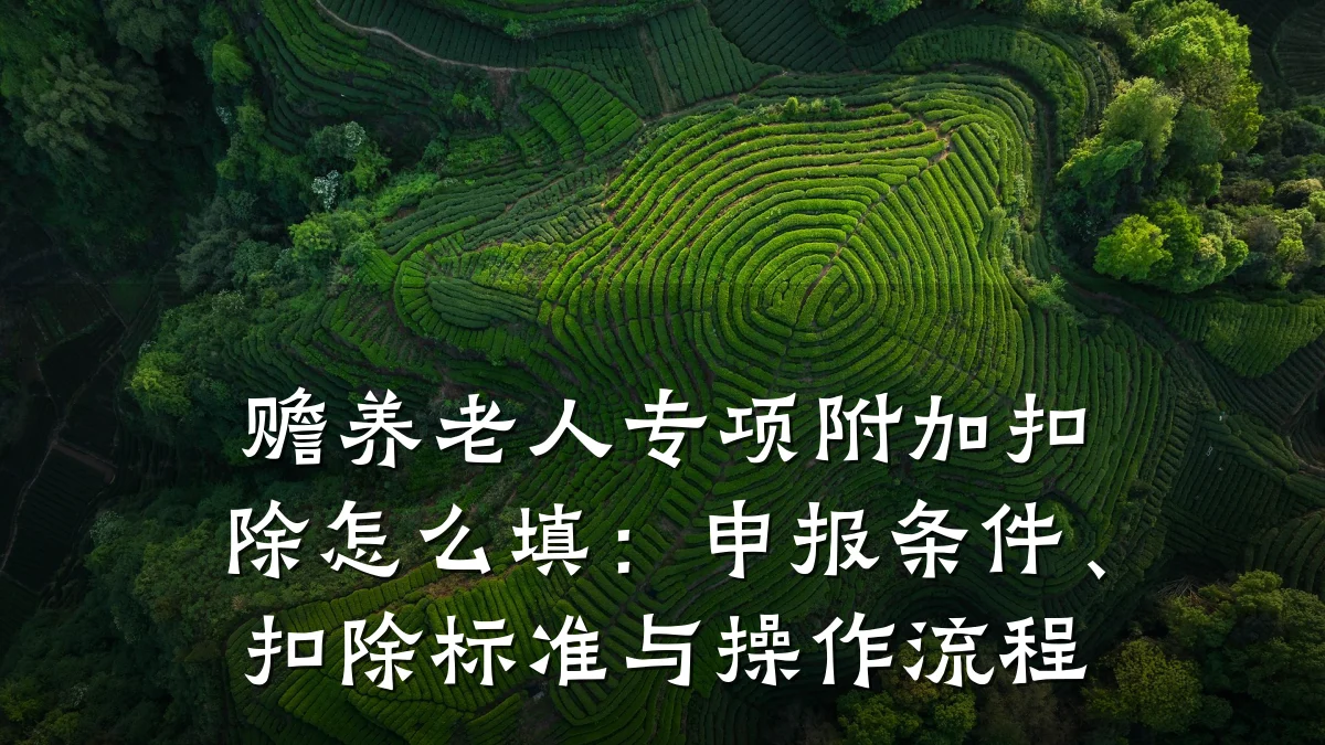 赡养老人专项附加扣除怎么填：申报条件、扣除标准与操作流程