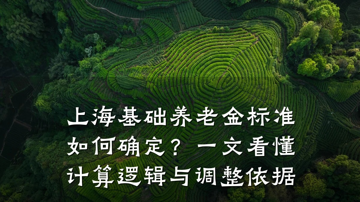 上海基础养老金标准如何确定?一文看懂计算逻辑与调整依据