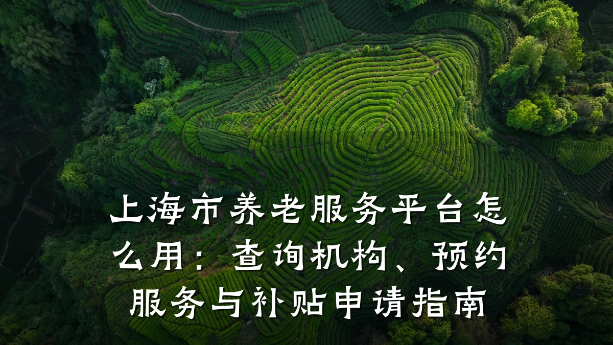 上海市养老服务平台怎么用:查询机构、预约服务与补贴申请指南