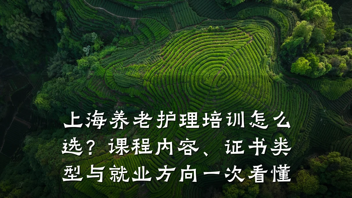 上海养老护理培训怎么选？课程内容、证书类型与就业方向一次看懂