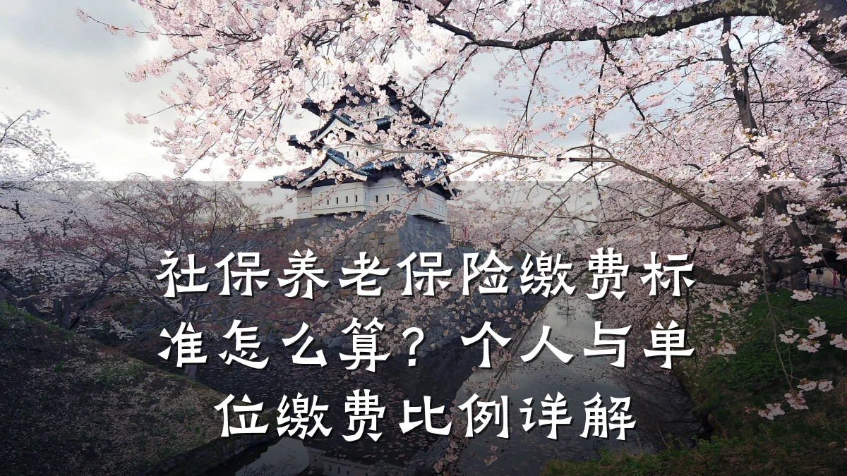 社保养老保险缴费标准怎么算?个人与单位缴费比例详解