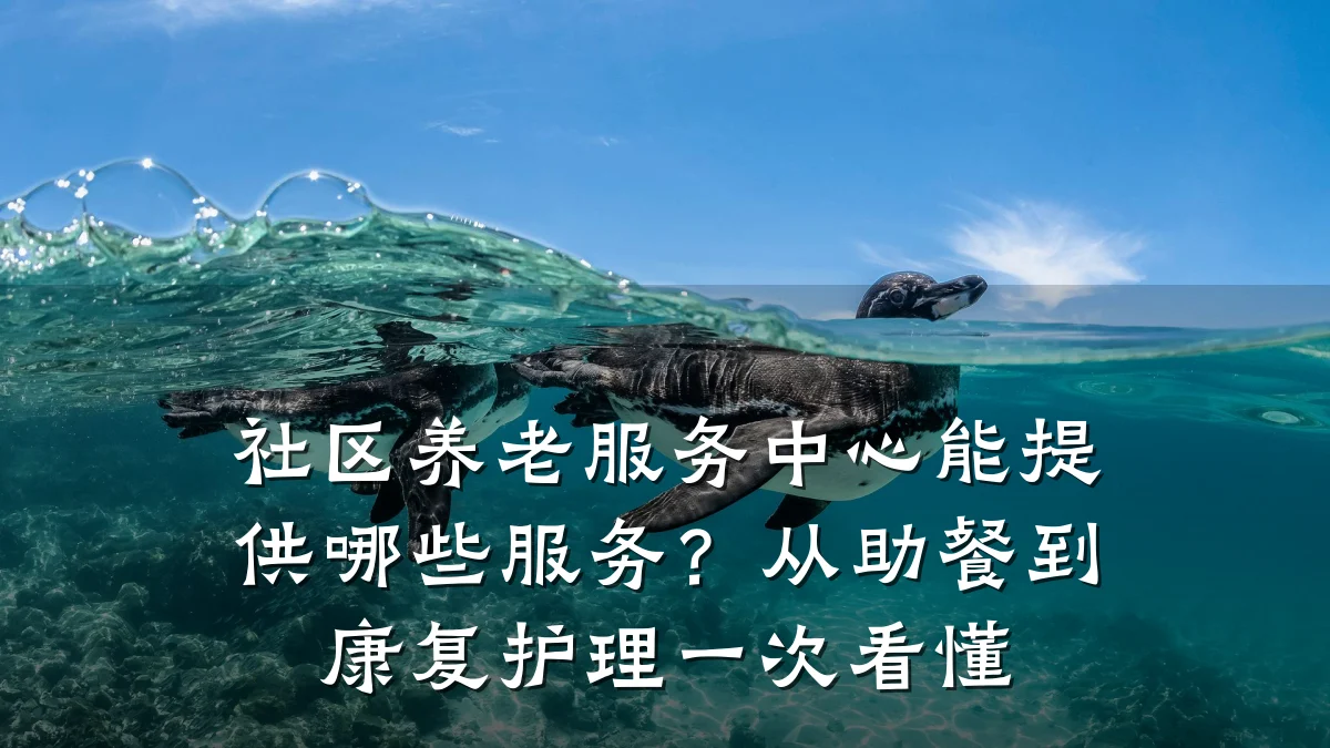 社区养老服务中心能提供哪些服务?从助餐到康复护理一次看懂