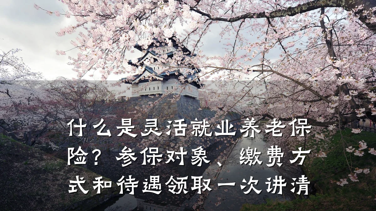 什么是灵活就业养老保险?参保对象、缴费方式和待遇领取一次讲清