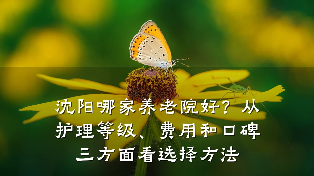 沈阳哪家养老院好?从护理等级、费用和口碑三方面看选择方法