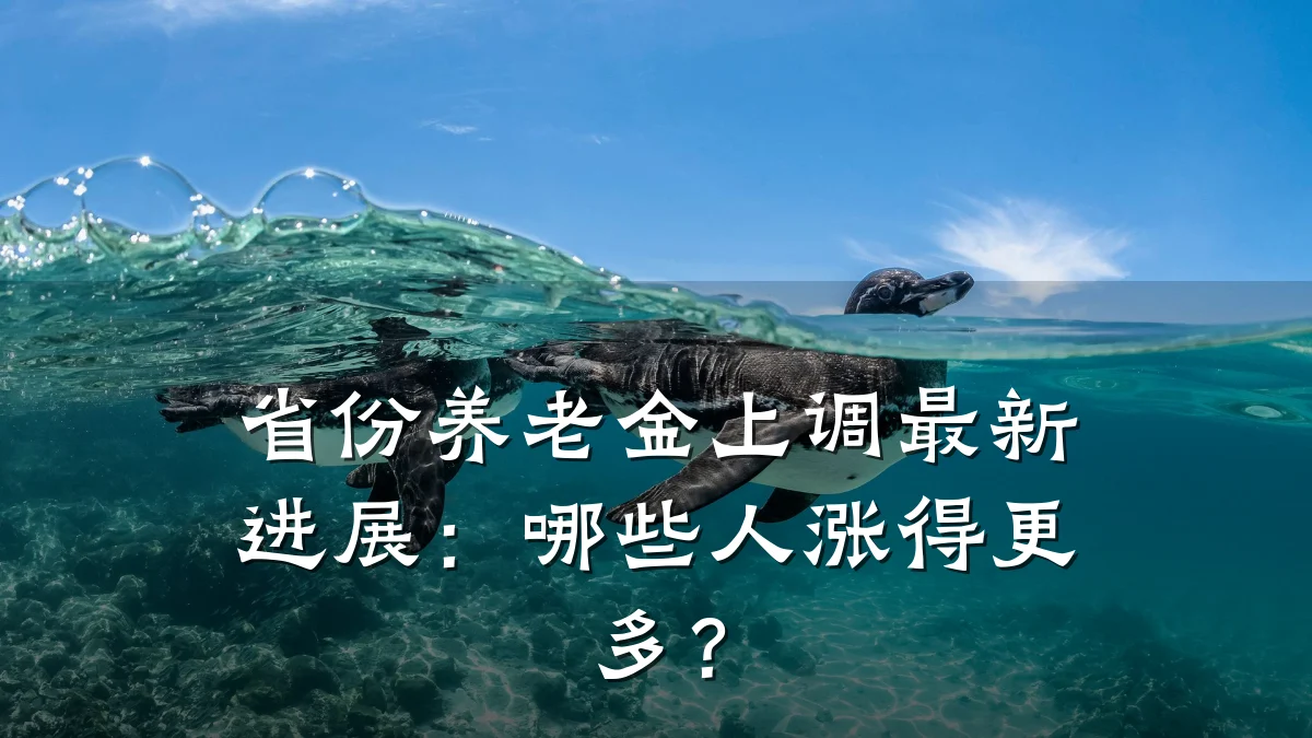 省份养老金上调最新进展:哪些人涨得更多?