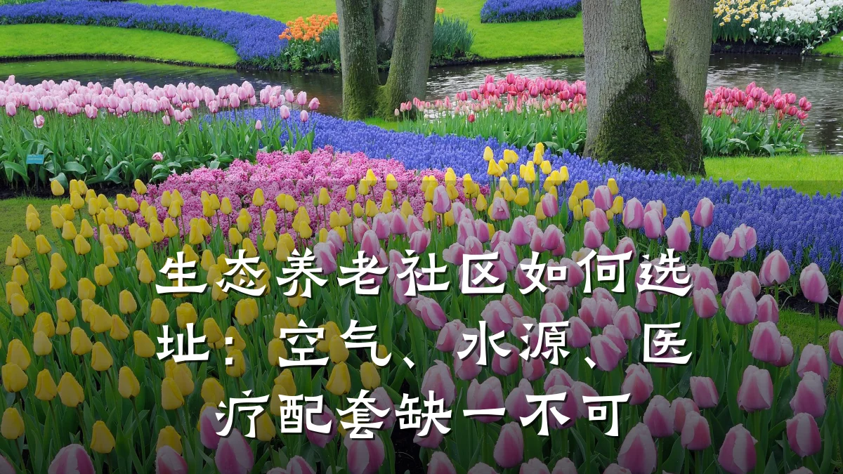 生态养老社区如何选址:空气、水源、医疗配套缺一不可