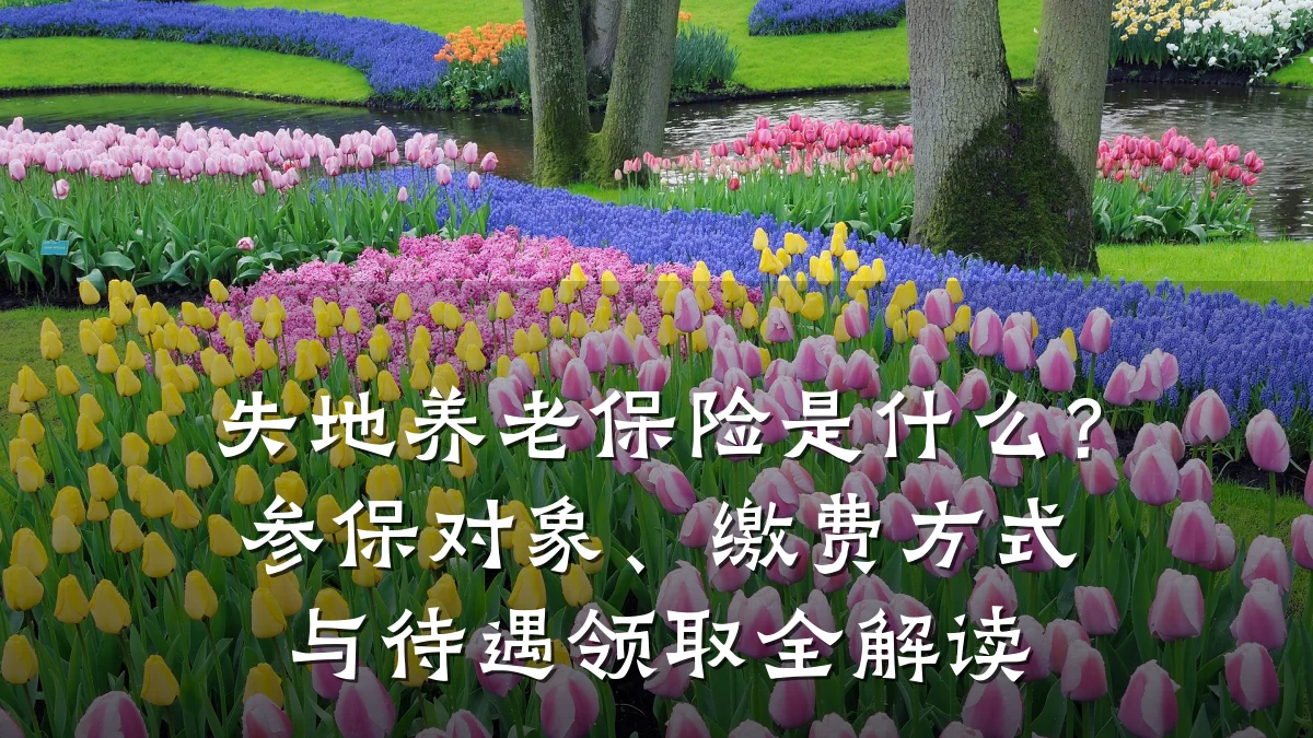 失地养老保险是什么?参保对象、缴费方式与待遇领取全解读
