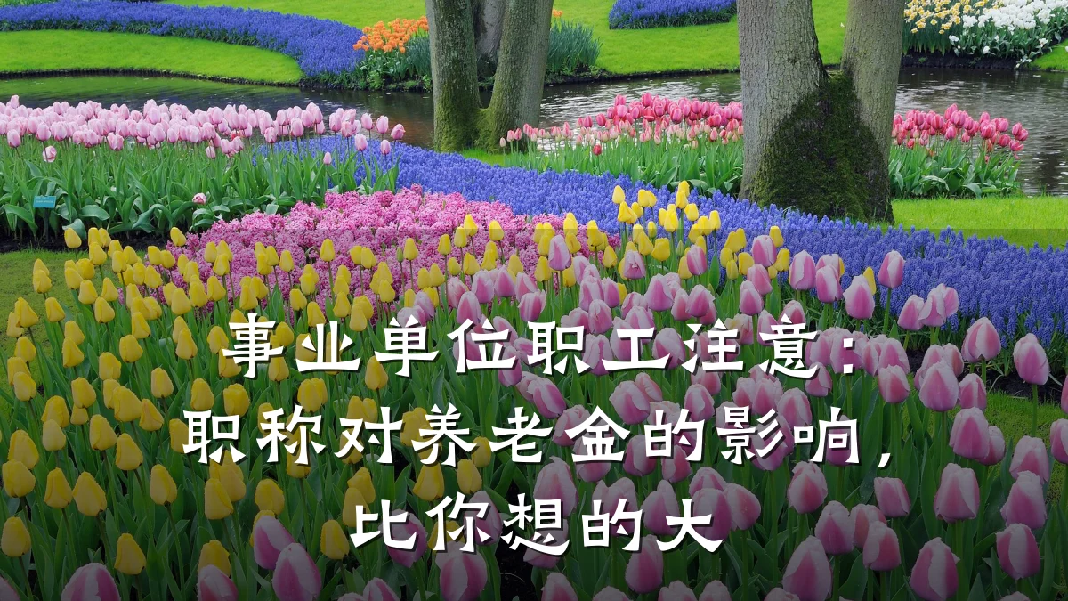 事业单位职工注意:职称对养老金的影响,比你想的大