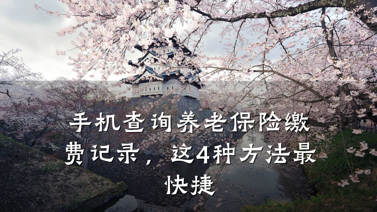 手机查询养老保险缴费记录,这4种方法最快捷