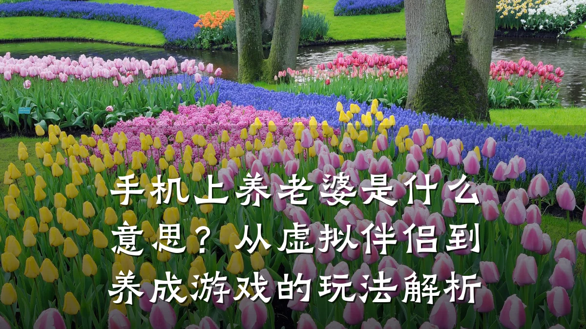 手机上养老婆是什么意思？从虚拟伴侣到养成游戏的玩法解析