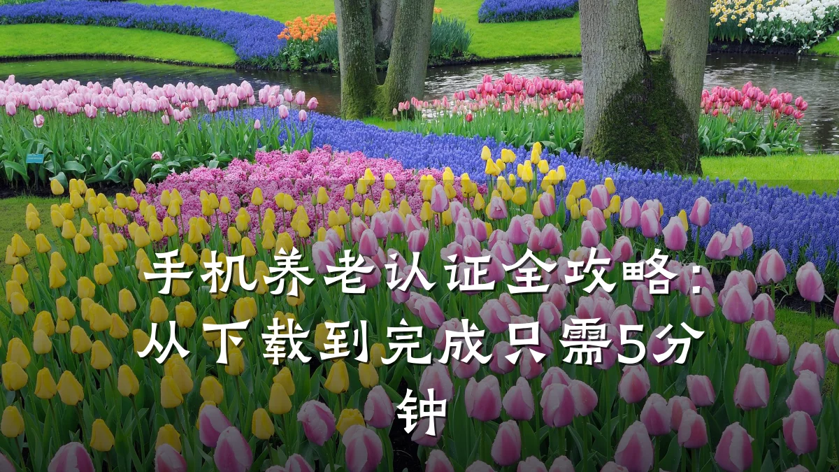 手机养老认证全攻略:从下载到完成只需5分钟