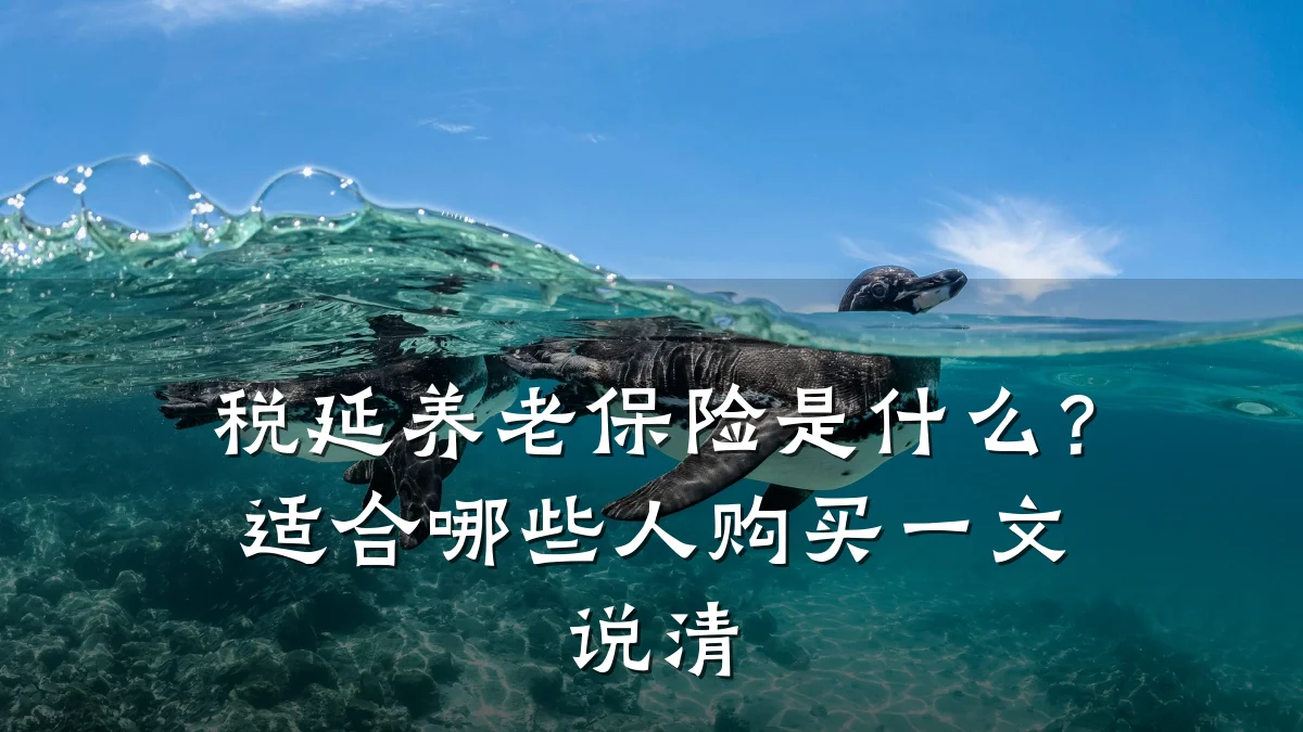 税延养老保险是什么？适合哪些人购买一文说清