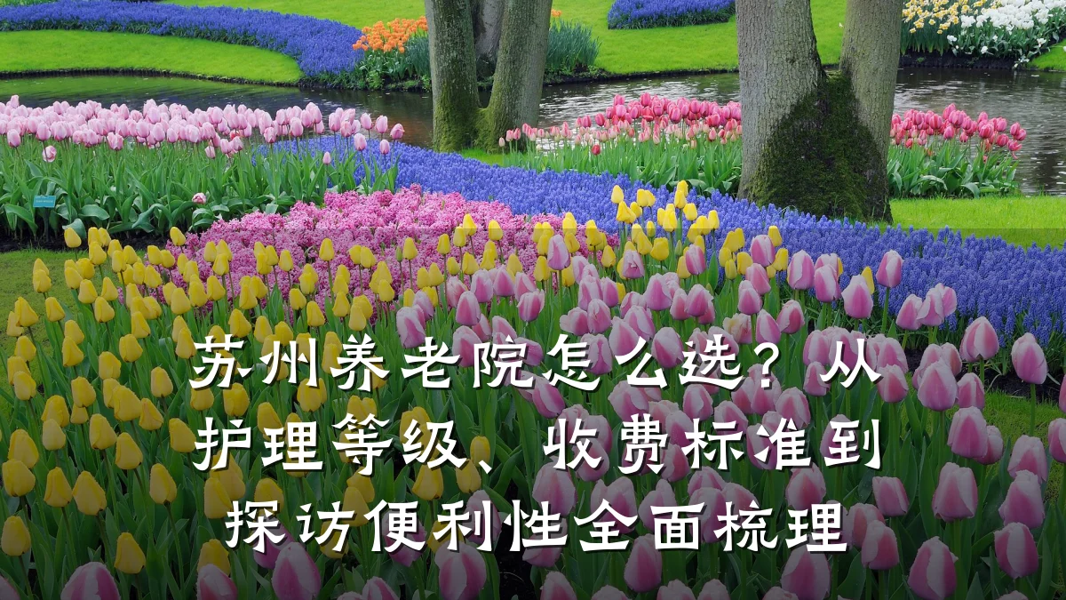 苏州养老院怎么选?从护理等级、收费标准到探访便利性全面梳理