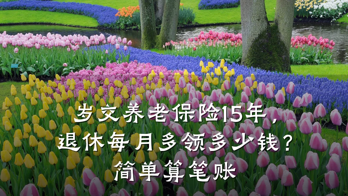 岁交养老保险15年,退休每月多领多少钱?简单算笔账
