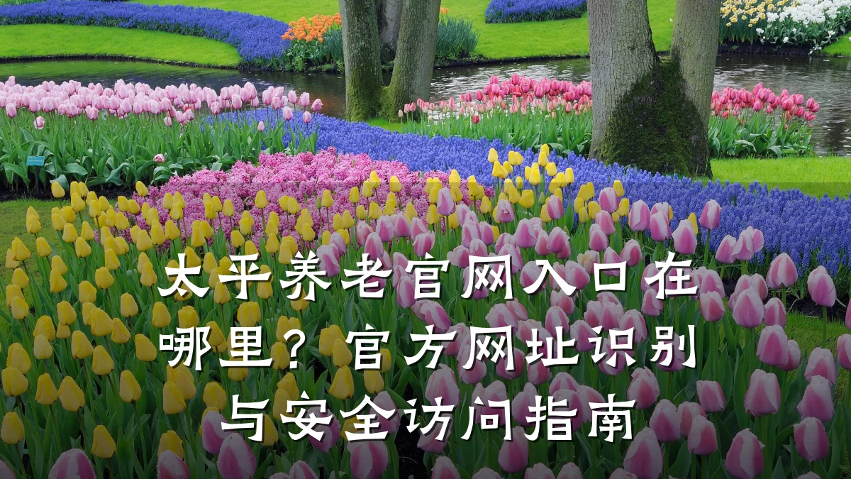 太平养老官网入口在哪里？官方网址识别与安全访问指南