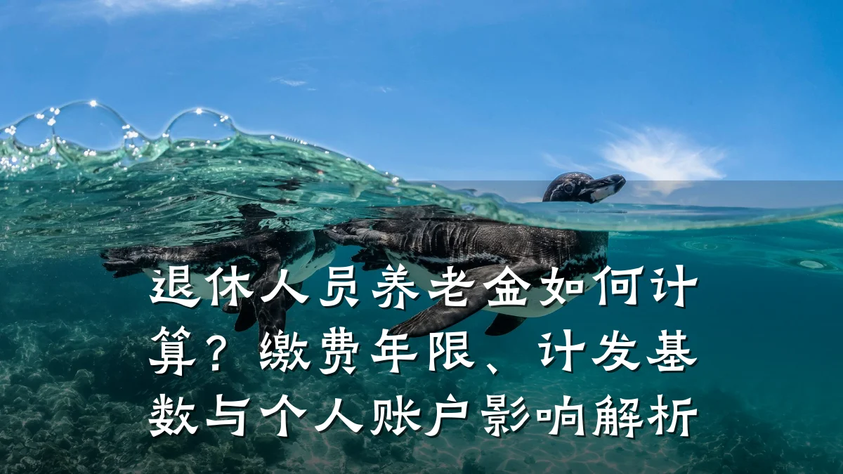 退休人员养老金如何计算?缴费年限、计发基数与个人账户影响解析