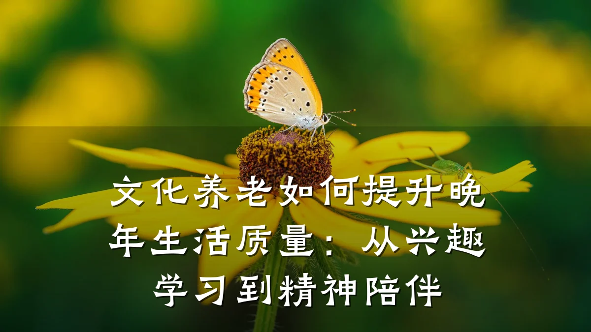 文化养老如何提升晚年生活质量:从兴趣学习到精神陪伴