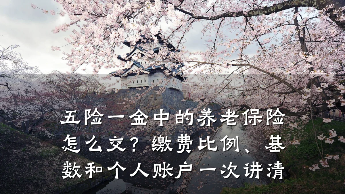 五险一金中的养老保险怎么交？缴费比例、基数和个人账户一次讲清