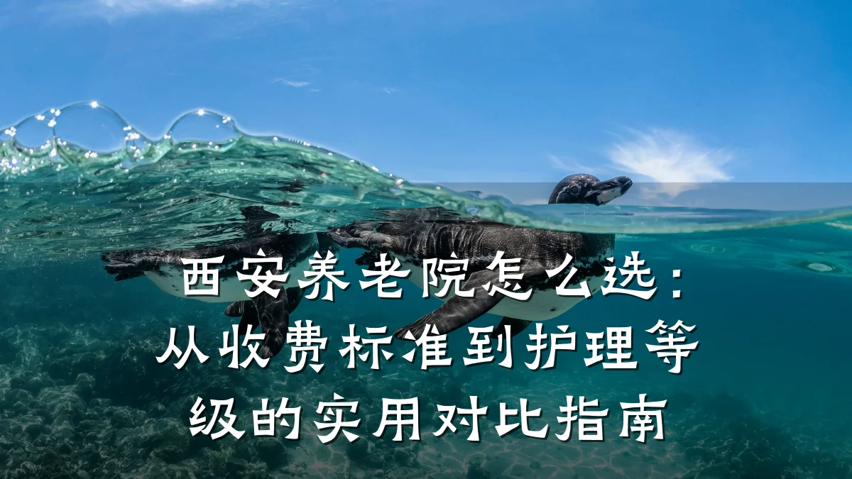 西安养老院怎么选:从收费标准到护理等级的实用对比指南